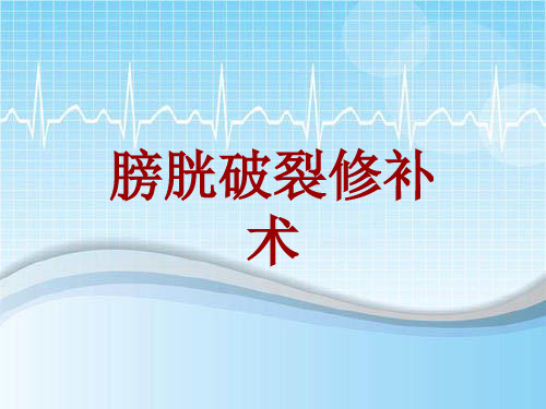 外科手术教学资料：膀胱破裂修补术讲解模板
