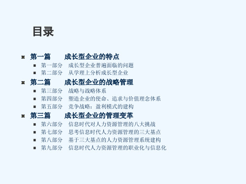企业竞争战略与盈利模式设计