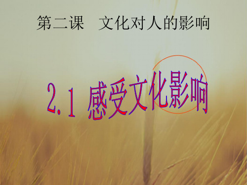 吉林省伊通满族自治县第三中学校高中政治必修三：1-2-1感受文化影响 课件 精品