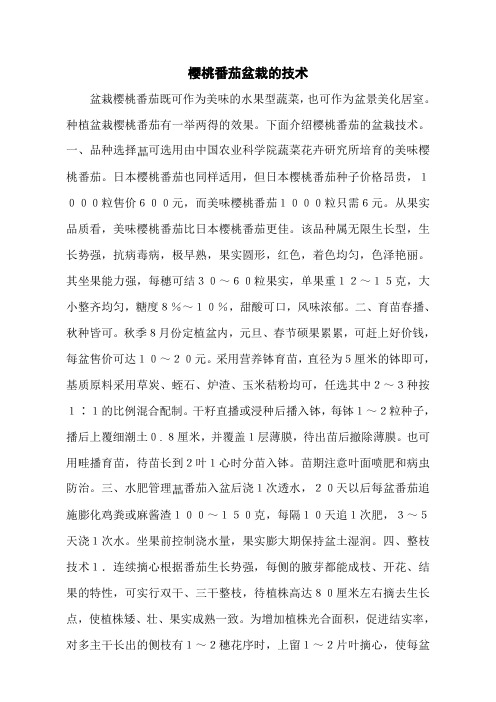 樱桃番茄盆栽的技术
