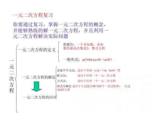 一元二次方程复习(新编2019教材)