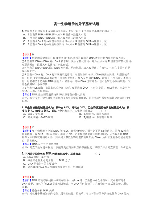 高一生物遗传的分子基础试题
