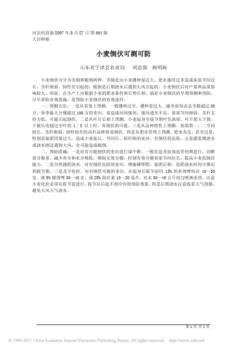 小麦倒伏可测可防