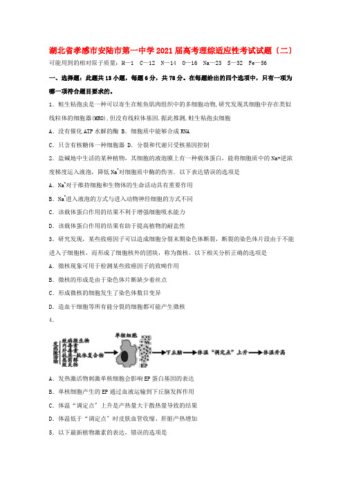 湖北省孝感市安陆市第一中学高考理综适应性考试试题(二)