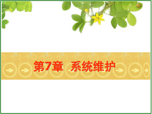 计算机组装与维护_第四章_设置BIOS