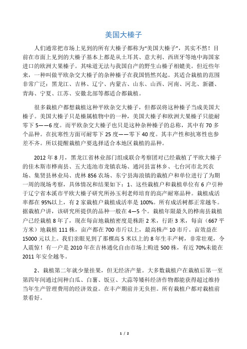 美国大榛子