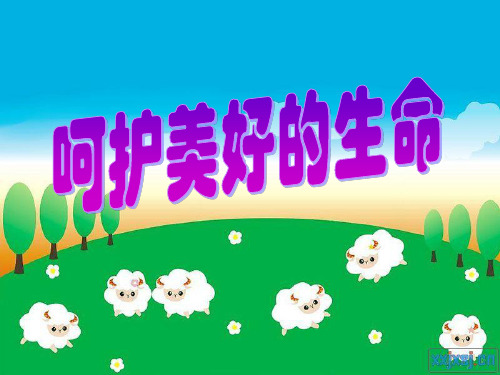 生命教育三年级下册第五课课件