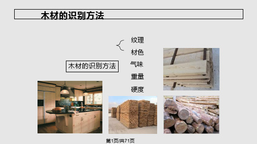 木材概论PPT课件