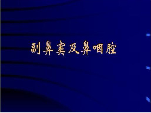 鼻和鼻窦CT解剖