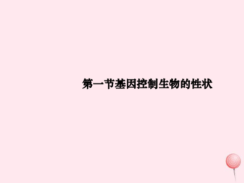 八年级生物下册第七单元第二章第一节基因控制生物的性状课件1 (共35张PPT)