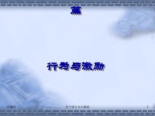 个体行为与激励概述(ppt28张)