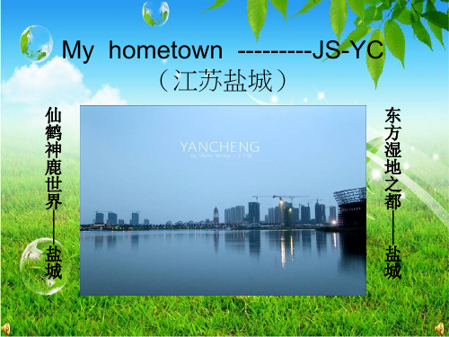 关于盐城的PPT