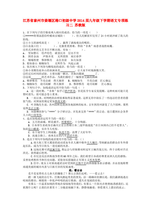 江苏省泰州市姜堰区港口初级中学九年级语文下学期专项练习二 苏教版