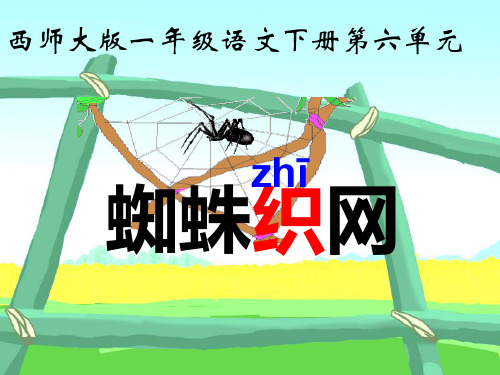 一级语文下册蜘蛛织网西师大版精品PPT课件
