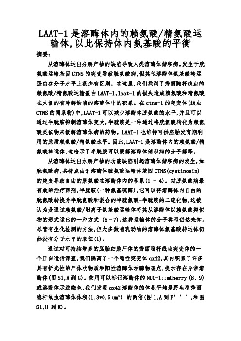 LAAT-1是溶酶体内的赖氨酸精氨酸运输体