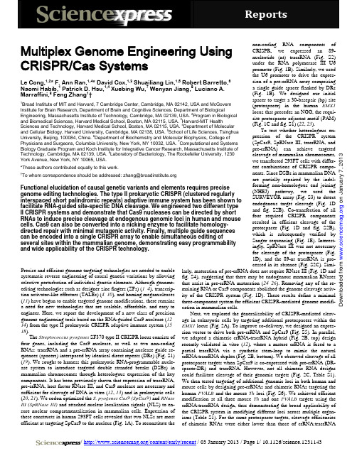 Multiplex Genome Engineering Using CRISPR Cas Systems