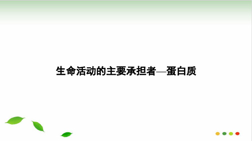 新高一生物必修一《生命活动的主要承担者_蛋白质》(ppt推荐)
