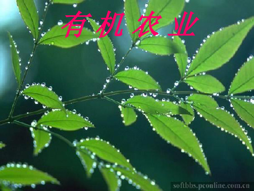 有机农业PPt