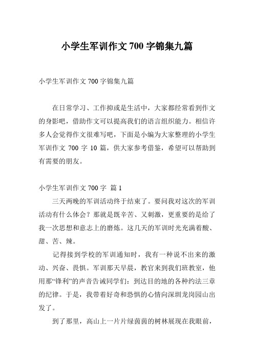 小学生军训作文700字锦集九篇