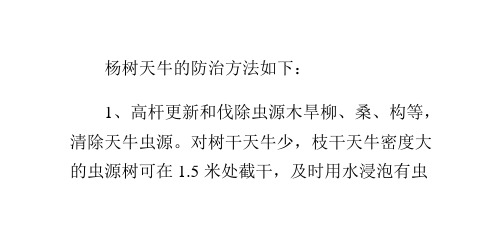杨树上的天牛怎么最快治疗