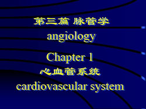 anatomy3 循环系统_PPT幻灯片