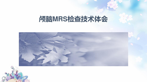 磁共振脑波谱检查技术体会