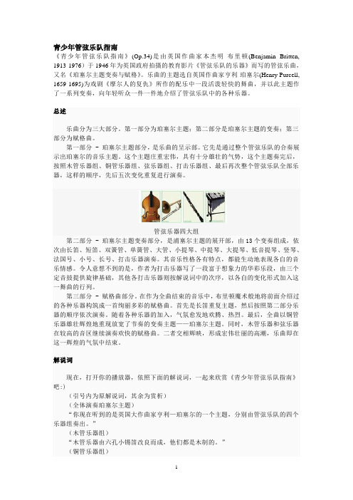 青少年管弦乐队指南