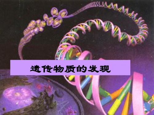 遗传发现课件