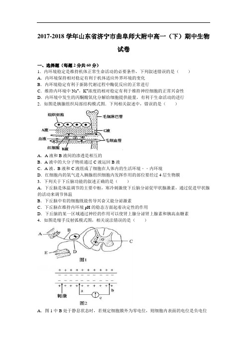 山东省济宁市曲阜师大附中2017-2018学年高一下学期期中生物试卷 Word版含解析