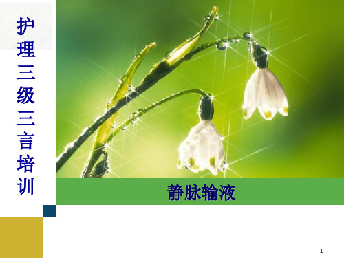 护理三基三严培训静脉输液 ppt课件