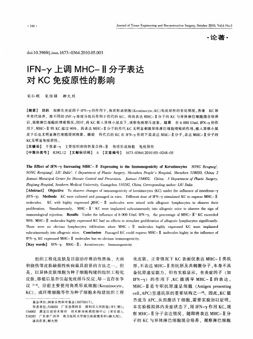 IFN-γ上调MHC-Ⅱ分子表达对KC免疫原性的影响