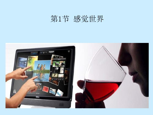 2.1感觉世界-浙教版七年级科学下册课件(共24张PPT)