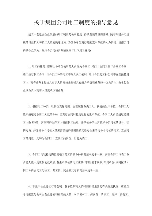 关于集团公司用工制度的指导意见