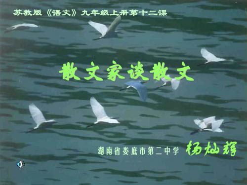 散文家谈散文PPT 苏教版 (共20张PPT)