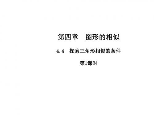 九年级数学上册4.4探索三角形相似的条件第1课时课件新版北师大版