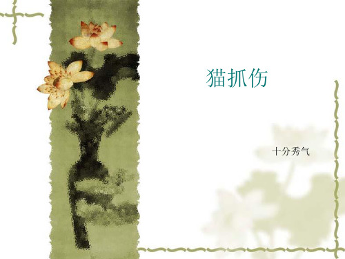 猫抓伤