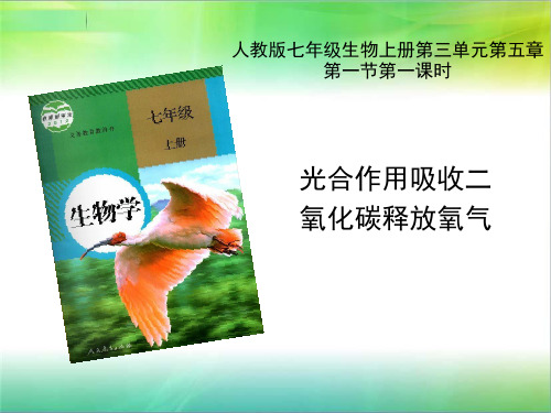 《第一节  光合作用吸收二氧化碳释放氧气》PPT课件