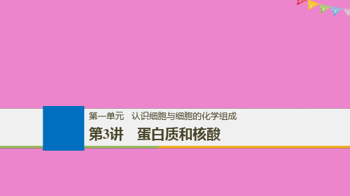 2019版生物高考大一轮复习第一单元认识细胞与细胞的化学组成第3讲蛋白质和核酸课件北师大版