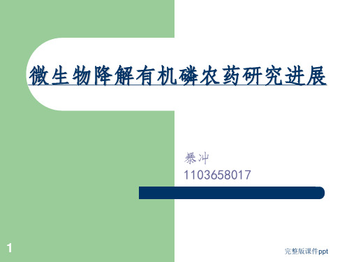 《微生物降解有机磷》PPT课件
