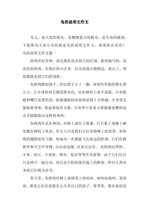 鸟的说明文作文