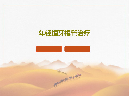年轻恒牙根管治疗50页PPT