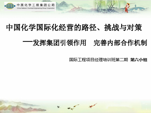 第6组--最终版  中国化学主题研讨——【中国化学 国际工程 项目经理 培训精品】