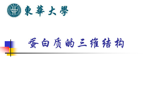 蛋白质的三维结构