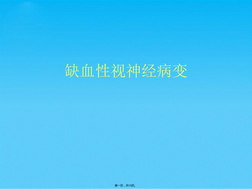 缺血性视神经病变(共15张PPT)