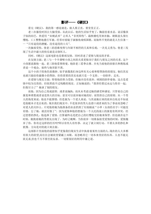 硬汉 影评 胡淳