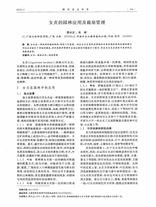 女贞的园林应用及栽培管理