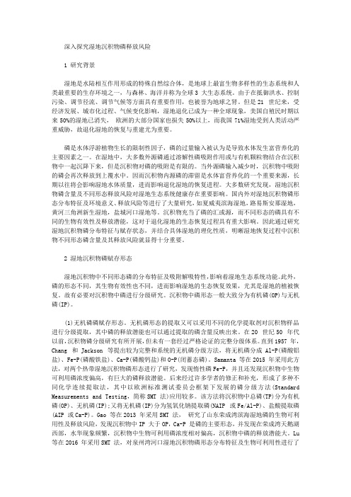 [其他论文文档]深入探究湿地沉积物磷释放风险