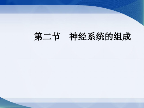 初中生物  神经系统的组成24 人教版精品课件