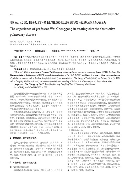 魏成功教授治疗慢性阻塞性肺疾病临床经验总结