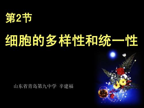 必修一第一章第2节细胞的统一性和多样性